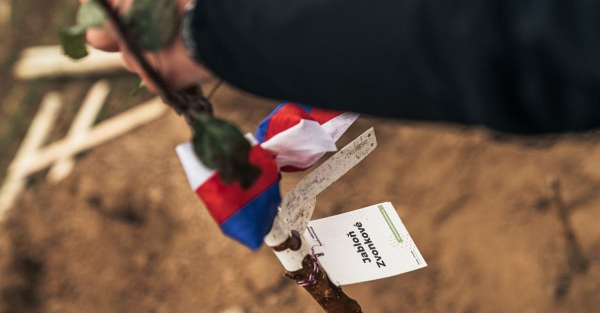 Planting the Future – the Partnership Foundation